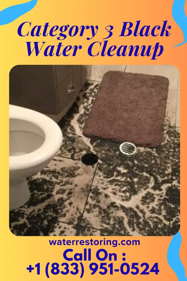 Category 3 Black Water Cleanup in Edie, PA