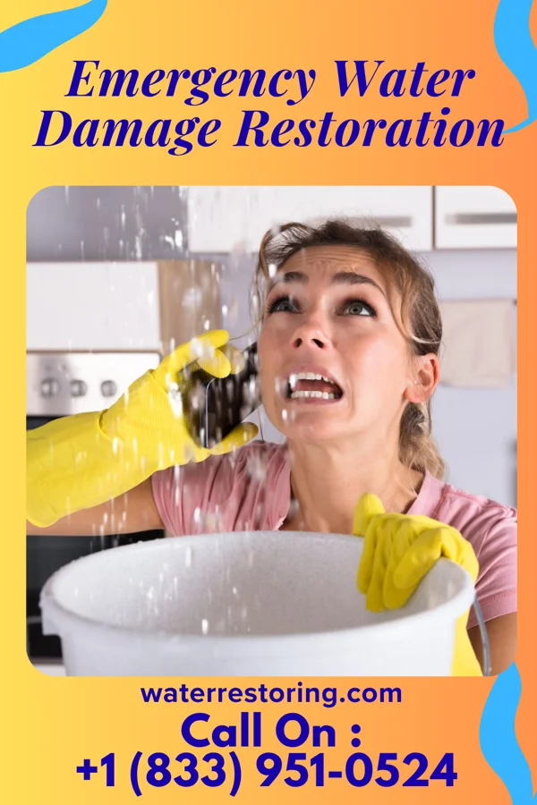 Emergency Water Damage Restoration in Edie, PA